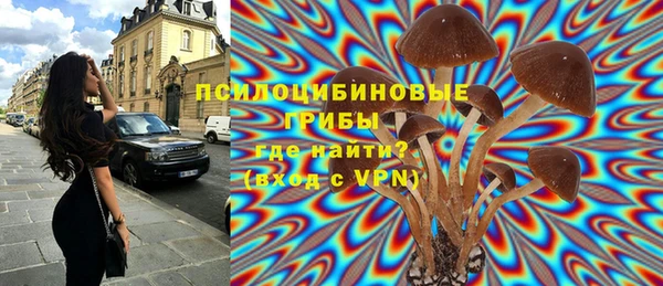 первитин Армянск