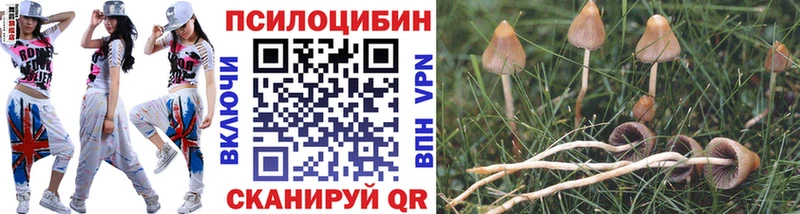 мега ссылка  сайты даркнета телеграм  Псилоцибиновые грибы прущие грибы  Бавлы 